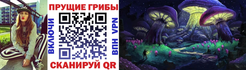 Галлюциногенные грибы ЛСД  Тутаев 
