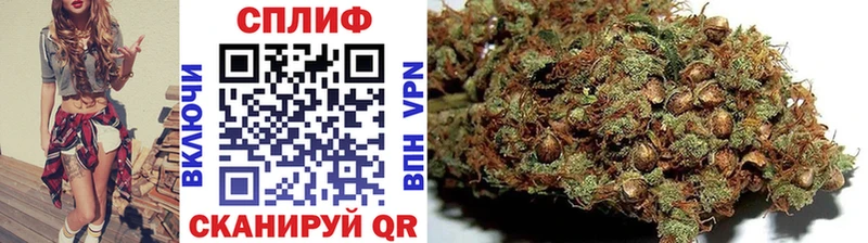 где найти   omg зеркало  Конопля сатива  Тутаев 